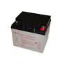 ENERSYS Batería DataSafe 12V 40Ah 150W/Cell (197x165x172mm)